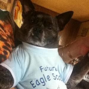 Meet your Posher, Linda